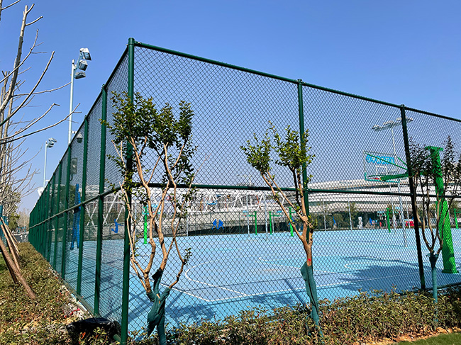 安陆田径场围网